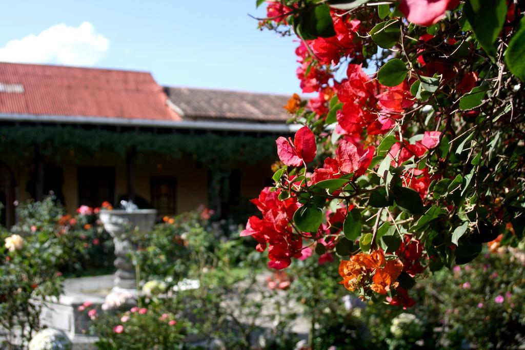 Hotel Aurora Antigua Zewnętrze zdjęcie