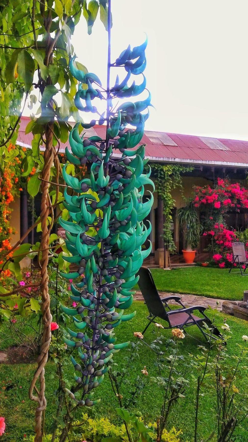 Hotel Aurora Antigua Zewnętrze zdjęcie