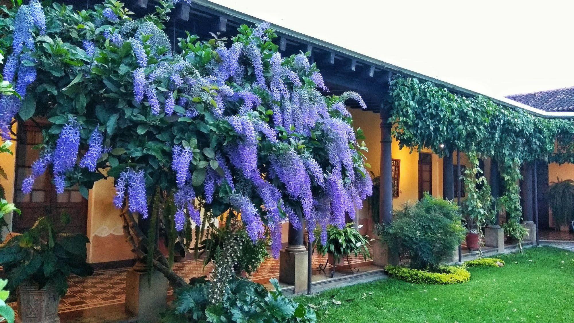 Hotel Aurora Antigua Zewnętrze zdjęcie